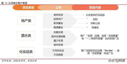 兆訊傳媒研究報(bào)告 開拓不止，賽道領(lǐng)航 —— 數(shù)字廣告發(fā)布的變革先鋒與未來(lái)引領(lǐng)者
